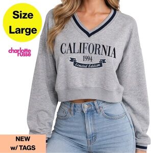 2/for $20 🪩 Blue-Trimmed Gray California V-Neck Sweater (Size Large) NEW w 🏷️